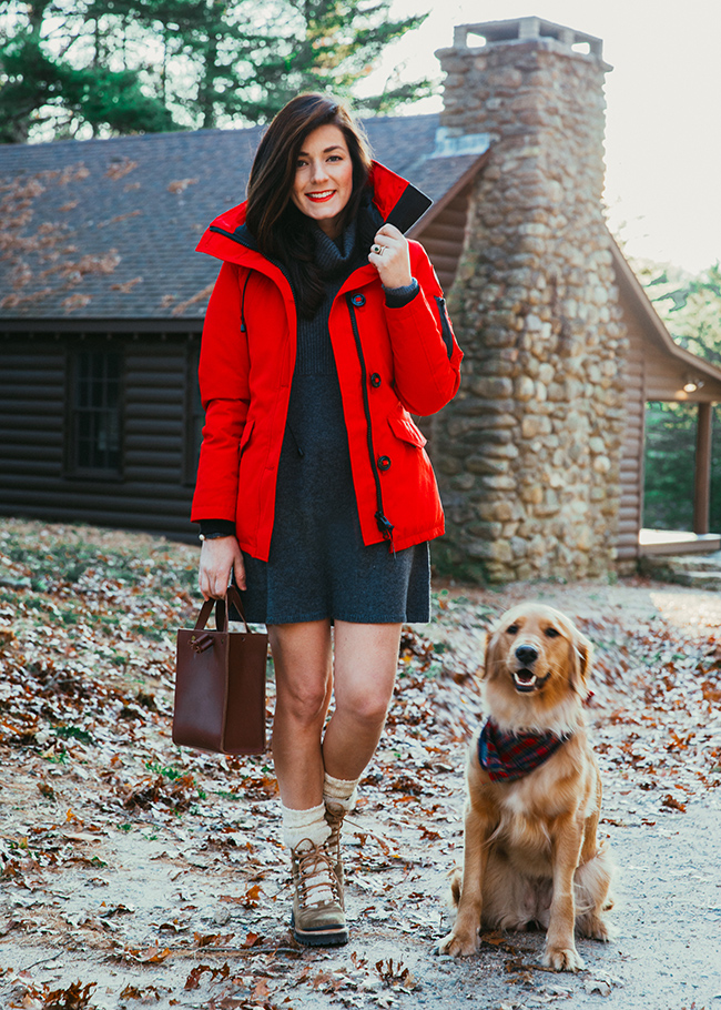 canada goose golden goose canada goose golden goose