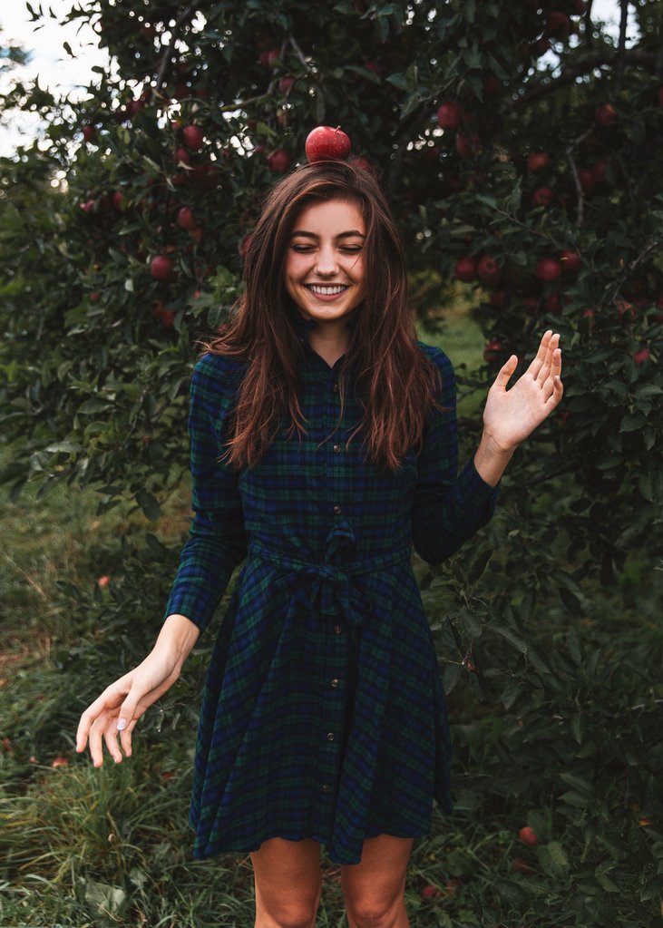Flannel Dress Flannel Dress